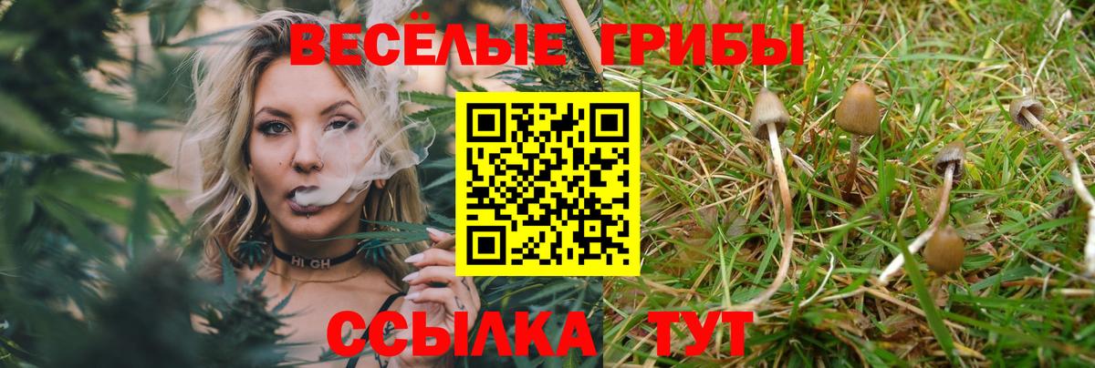 Галлюциногенные грибы Magic Shrooms Касимов